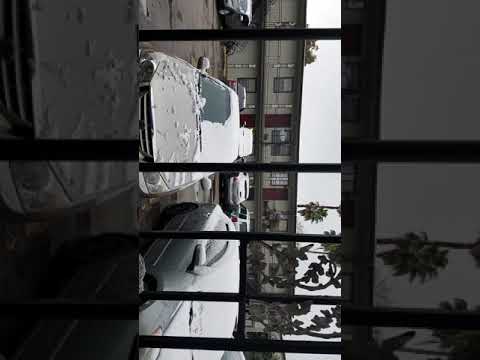 download lagu mp3 mp4 Casco Houston Tx, download lagu Casco Houston Tx gratis, unduh video klip Casco Houston Tx