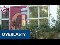 Bewoners Moerwijk: 'We hebben nooit overlast van De Samenscholing' - OMROEP WEST
