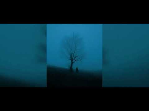 KOLBA - "Molly" (Prod. Santana x Mio)