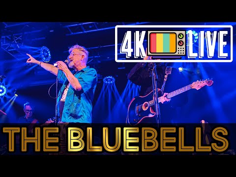 The Bluebells - Young at heart, live 4k Edinburgh 2024