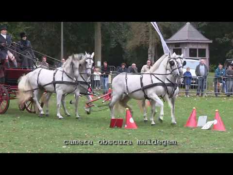 3324 Paardenevenement "Maldegem ment voor Eye Hope"./SFHP
