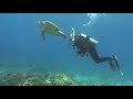Под водой с Вадимом Малышем - 494 - Тихий Океан, Филиппины , Манилл 