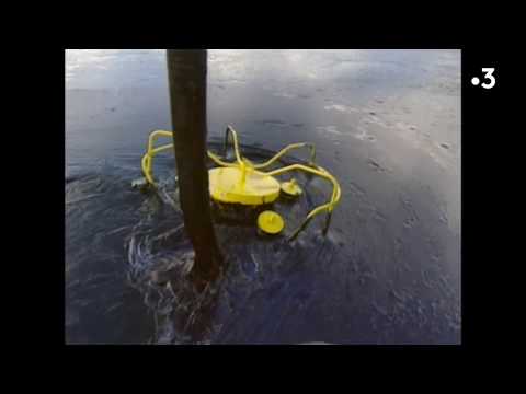 Documentaire Erika : autopsie d'un naufrage, le film choc [Extrait]