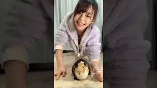 隙間をちゃんと見て！！　#Shorts