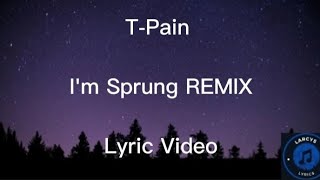 T-pain - I&#39;m sprung remix lyric video
