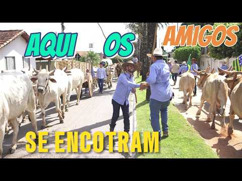  4° festa do carro de boi de Petrolina Goiás 2026