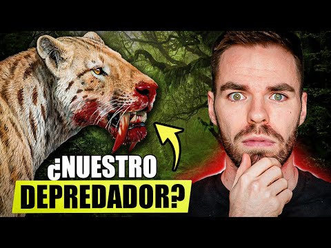 ¿Cuál fue el ANIMAL DEPREDADOR DE HUMANOS? 🐅 ¿Había un especialista? | Mario de Wonder
