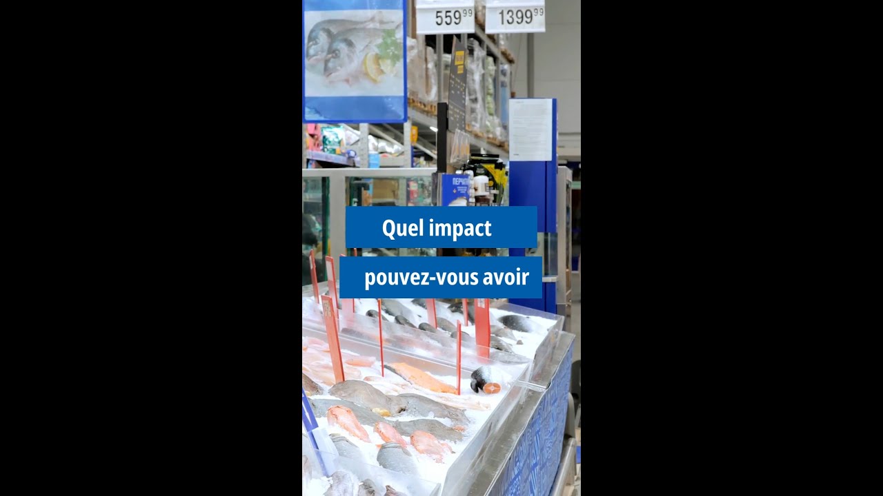 Quel impact pouvez-vous avoir lorsque vous choisissez des produits de la mer certifiés MSC ?