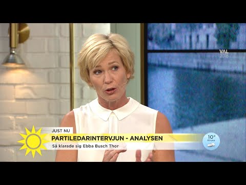 Ann Tiberg om KD’s dubbeltydighet: ”Har varit öppnast för att prata med Jimmie  - Nyhetsmorgon (TV4)