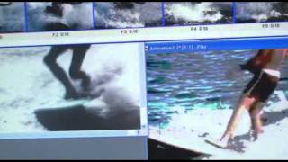 Robert Calvert - ''The Lay of the Surfers'' (Wavesurf)