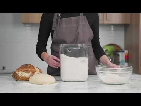 Progressive ProKeeper+ Flour Storage Container