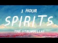 The Strumbellas - Spirits ( 1 HOUR )