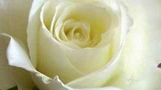 CHICO  BUARQUE   &quot; LUA CHEIA &quot;