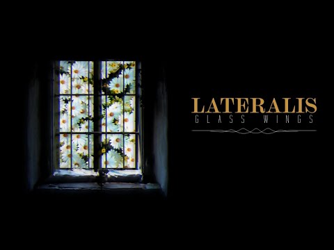 Youtube Video IgTs3eTMlqM