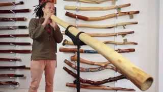 ellswood didgeridoo #1147