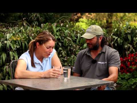 Venue videos photo 2