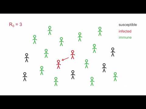 COVID-19 Update 2: How to stop an epidemic - Herd immunity