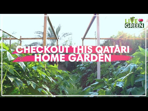 How is a Qatari woman spreading the culture of gardening in Qatar? | Live Green | Ep 24
