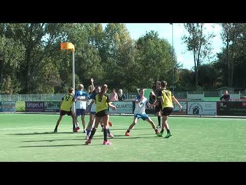 Meervogels A1 - Die Haghe A1