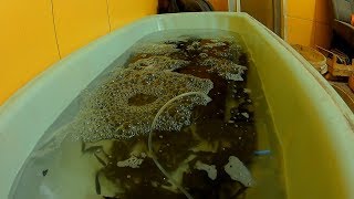 Емкость для перевозки живца на рыбалку