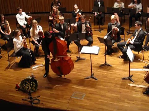 D.Dragonetti - Waltz No.7