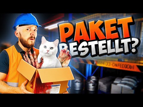Meine unheimliche Nachtschicht im Amazon-Lager! 🐈📦 Order 13
