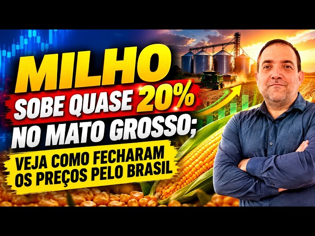 Tombo do MILHO antes do feriado: Hora de Preocupar ou Apenas Ajuste?