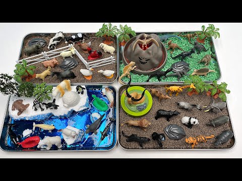 4 Type Diorama For Animals | polar Bears Penguins volcano Dinosaur