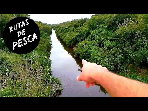 Un lugar que POCOS CONOCEN! 😲 Pesca, Cocina y Aventura 💪 CANAL DE LOS PUESTOS Tucumán