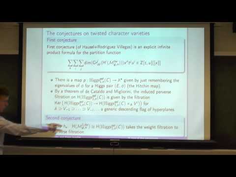 Higgs bundles, character varieties and cohomological Hall algebras (GGD/GEAR Seminar)