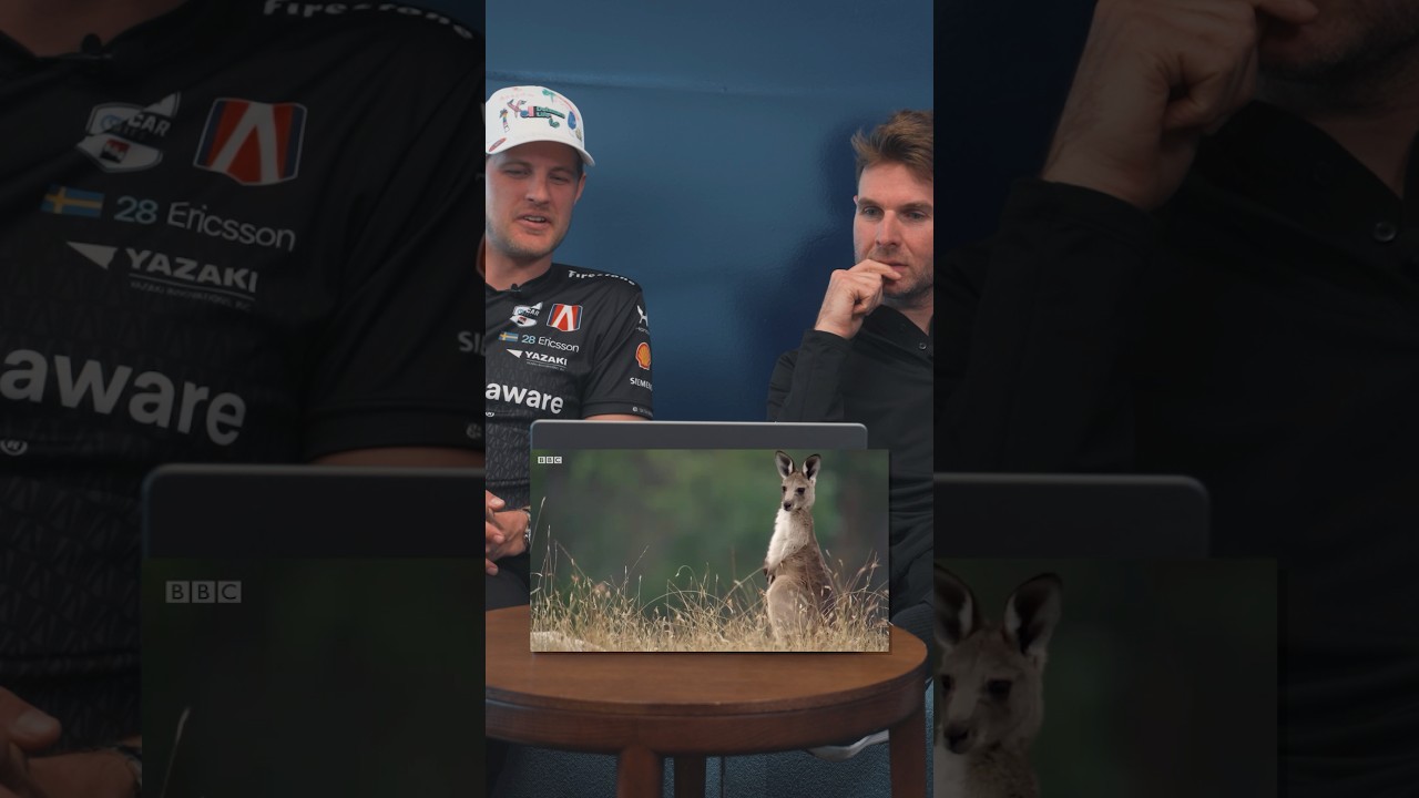 Click to watch the video “INDYCAR drivers react to kangaroos BOXING?! 😱#reaction”