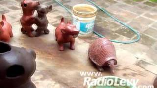 preview picture of video 'Réplicas de cerámica colimota mejor que auténticas'