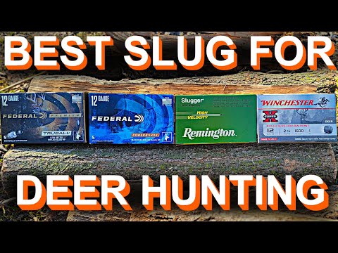 Best Shotgun Slug For Deer Hunting