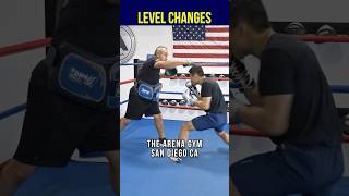 Coach Body-Protector Kickboxing demonstration thumbnail