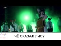 Ylvis - The Fox (Sergei KrasilnikoV 'SK' Animals ...