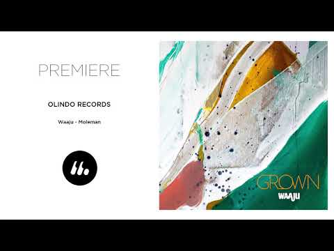 Waaju - Moleman (Olindo Records) | Le Mellotron Premiere