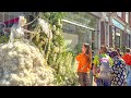 LONDON CHELSEA IN BLOOM 2025 Flowers In Fashion Floral Displays King S Rd Sloane Sq 4K HDR