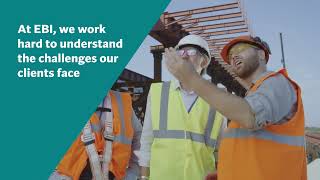 EBI Consulting - Projects