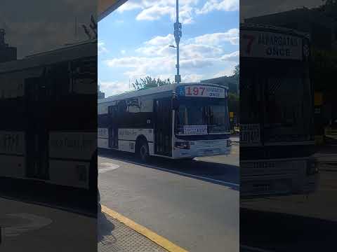 Linea 197 int. 806 (Italbus Tropea)