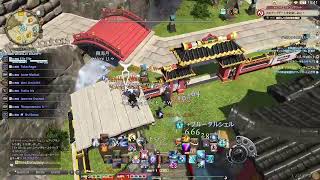 FF14みんな慣れないジョブで消化一層配信