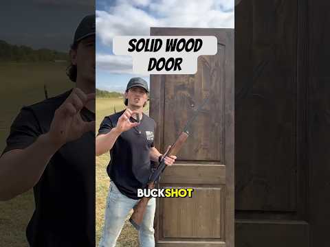Solid Wood Door vs 12 Gauge Shotgun #bulletproof #pewpew #guns