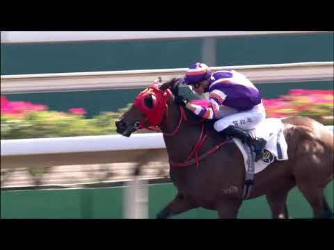 6/12/2020 (239) Crown Avenue - A Hamelin