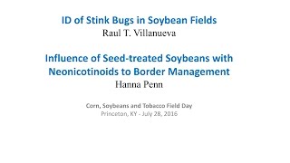 Raul Villanueva and Hanna Penn Stink Bugs in Soybeans