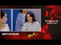Sher Episode 3 Teaser Danish Taimoor Sarah Khan 22 May 2025 Top Pakistani Drama