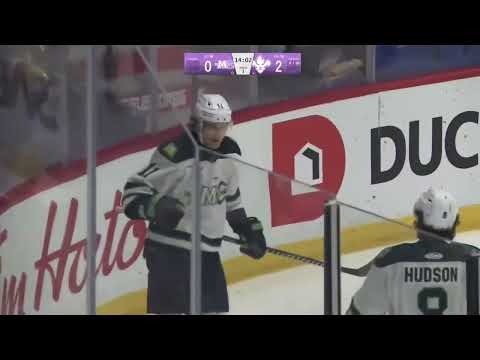 Maine Mariners @ Trois-Rivieres Lions highlights - 2/1/25