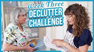 Declutter Challenge! "Seriously Decluttering" (Week Three)