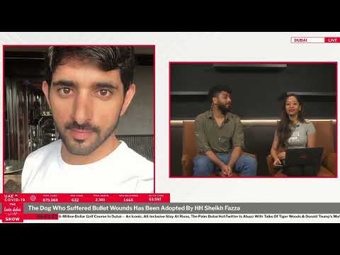 The Dog Who Suffered Bullet Wounds Has Been Adopted By HH Sheikh Fazza   #adoptdontshop