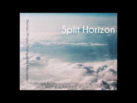 03 Split Horizon