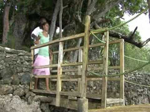 naurekiki - lautano II