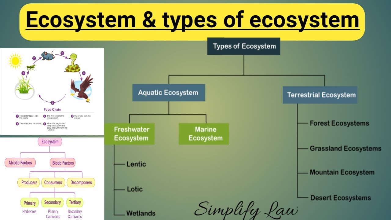 Ecosystem | Different types of Ecosystem | Environmental Science | EVS | Simplify Law |